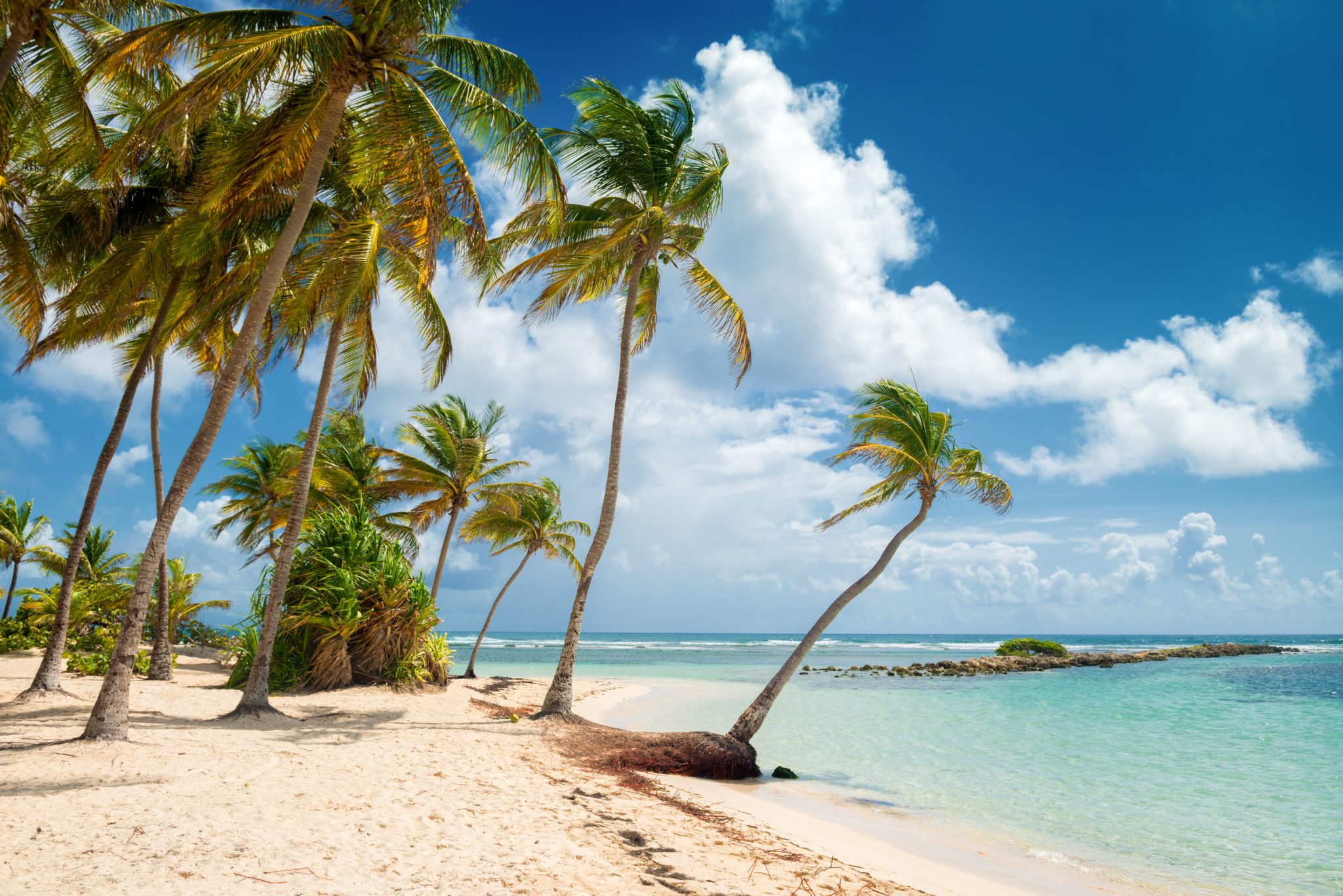 the-5-most-beautiful-beaches-in-guadeloupe-voiles-bleues